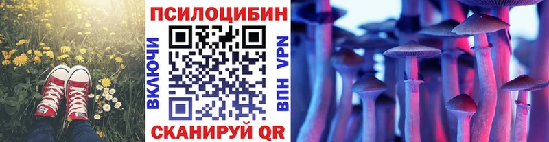 OMG ONION  как найти закладки  Кадников  Галлюциногенные грибы Psilocybine cubensis 