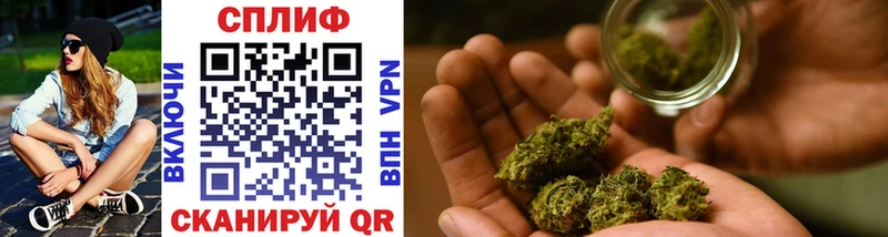 Конопля SATIVA & INDICA  Кадников 